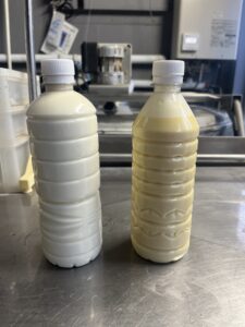 初乳について